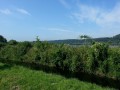2013-07-18 10_44 033